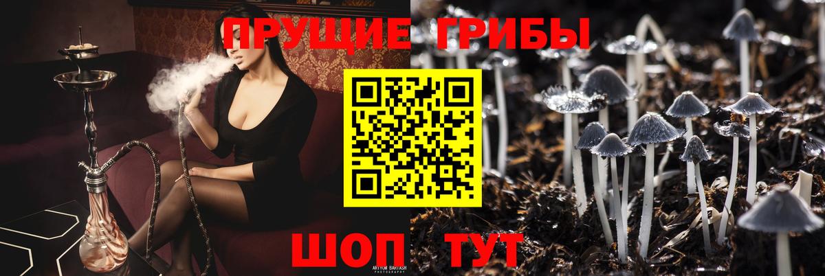 Псилоцибиновые грибы Psilocybine cubensis  Вход с VPN  Сарапул 